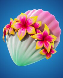 Summer Shell