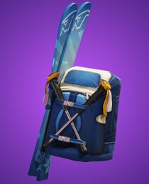 Mogul Ski Bag