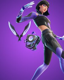 Umbra Nyte Bundle