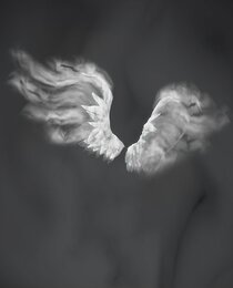 Perfect Wings