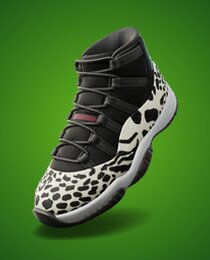 Air Jordan 11 Retro 'Animal Instinct'
