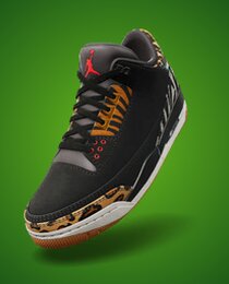 Air Jordan 3 Retro 'Animal Instinct'