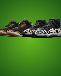 Air Jordan Retro 'Animal Instinct' Bundle