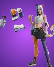 Meowscles of a Boxer Bundle