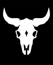 Banner Icon