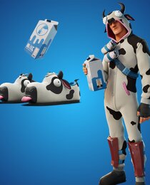 Heifer Steppers Bundle
