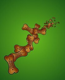 Scooby Snacks