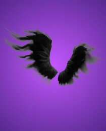 Shadow Wings