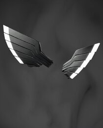 Shadowbird Wings