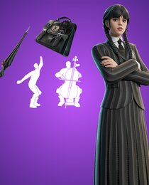 Wednesday Bundle