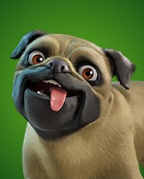 Doggo Jr.