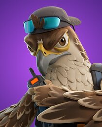 Ken Kestrel
