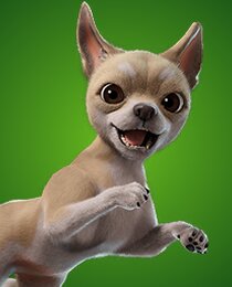 Teacup Chi-Pup