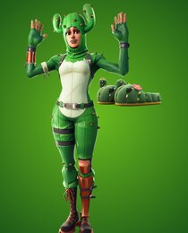 Stay Prickly Bundle