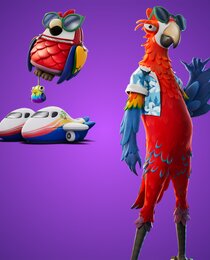 Staycation Bundle