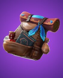 Tome Pouch