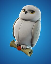 Snowy Owl