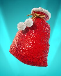 Winterfest Sack
