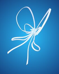 Rukia's Ribbons