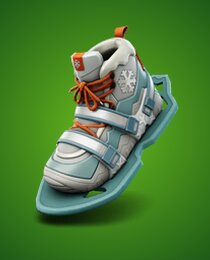 Sneaky Snowshoes