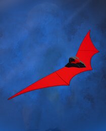 Batman Beyond Wings