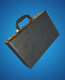 The Briefcase