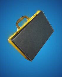The Briefcase