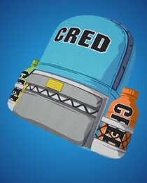 Backpack of CRED