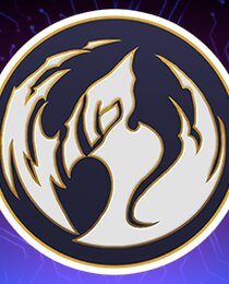 Ahjin Guild