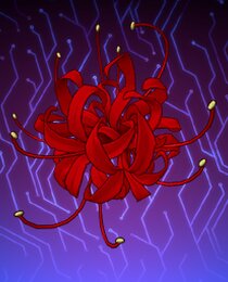 Red Spider Lily