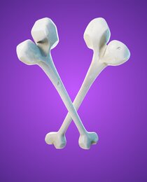Beef Bone