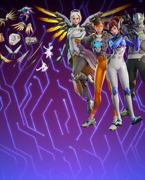 Overwatch Bundle