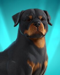 EsDeeKid's Canine