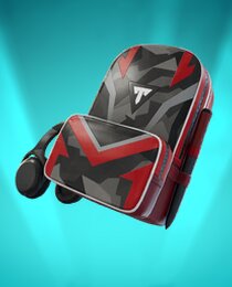 Typical Backpack
