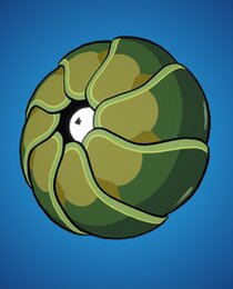 Pillbug Jerry