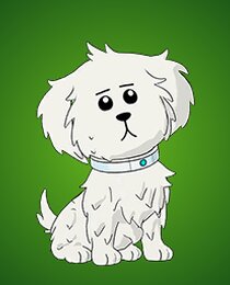 Snowball