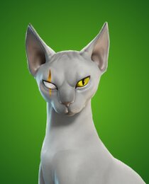 Meowdas Sphynx