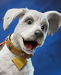 Krypto