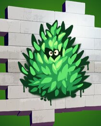 Bush Peek