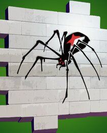 Wallcrawler