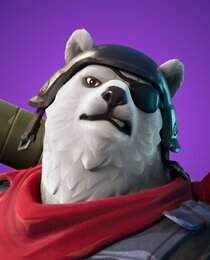 Polar Patroller