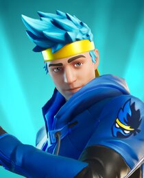 Ninja