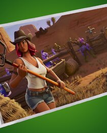 Down On The Ranch