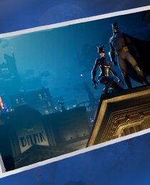 The Bat And The Cat