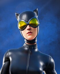 Catwoman Comic Book Outfit