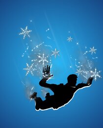 Snowflakes