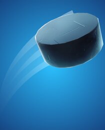 Ice Puck
