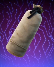 Training Bag