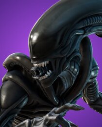 Xenomorph