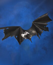 Batman Zero Wing